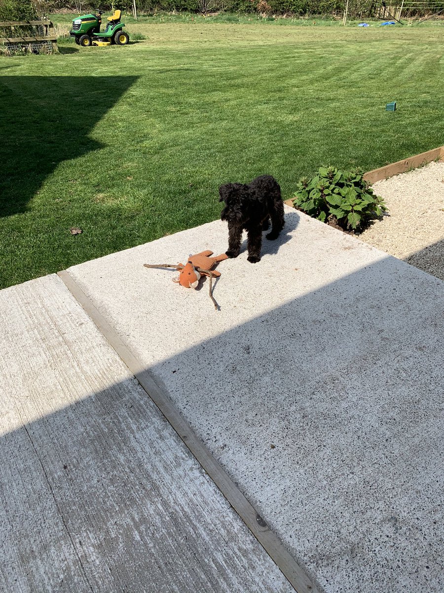 iamsmudge tweet media