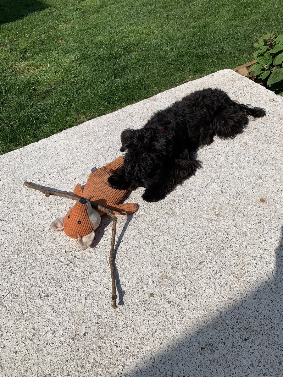 iamsmudge tweet media