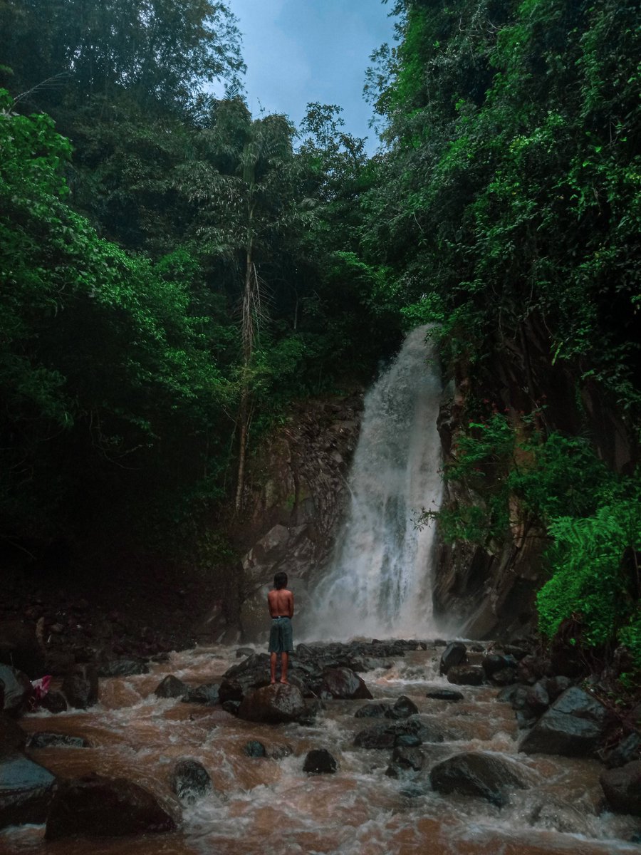 NPameno's tweet photo. Hujan, Kerinduan dan Kesepian. 
karantina dihutan rimba https://t.co/gn3zGyGuWn
