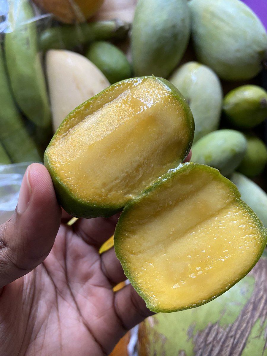 Today’s treat is mamuang ‘galon’ or you also hear them called mamuang ‘dood’ bc you can bite the top and suck the meat out. Sour, sweet and shockingly citrusy.