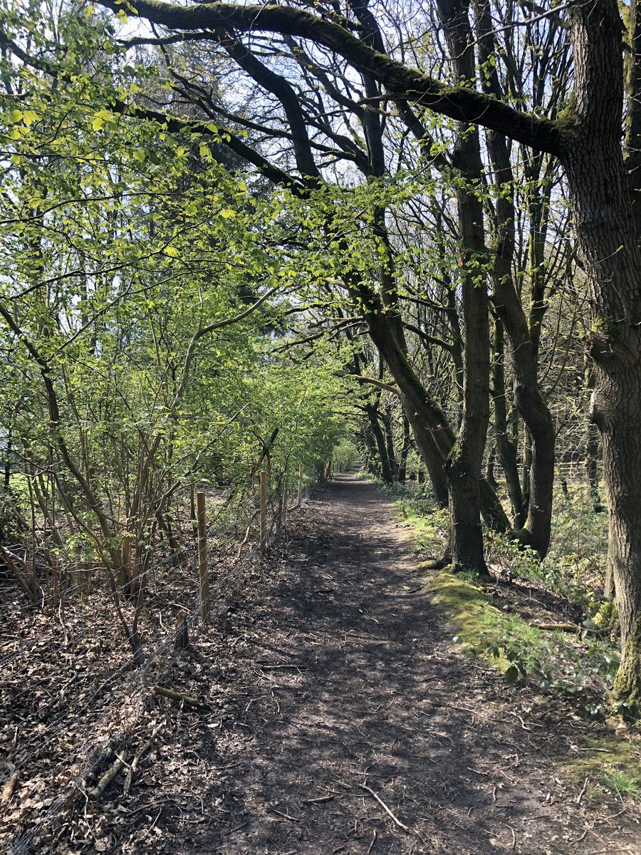 Back to nature.                  #morningwalk #selfisolating #nature #COVIDー19 #StaySafe #woods #towpath #whataview #mentalwellbeing #mentalhealth