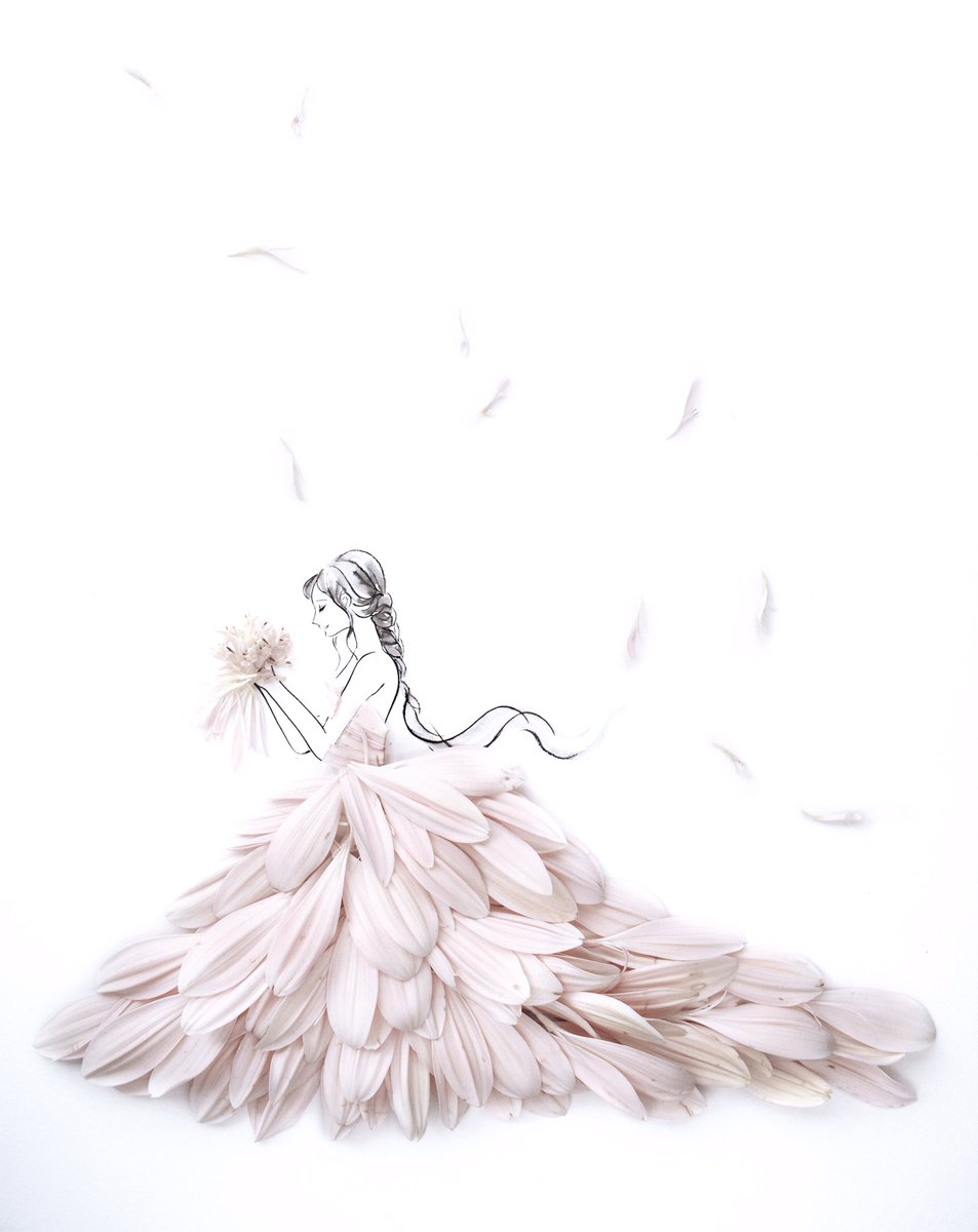 はな言葉 葉菜桜花子 新刊発売 デルフィニウムのドレス 花言葉は 口には出さない思いやり あなたは幸福をふりまく 幸福をふりまくふんわり爽やかなドレス T Co Fnsuqgavtb Twitter