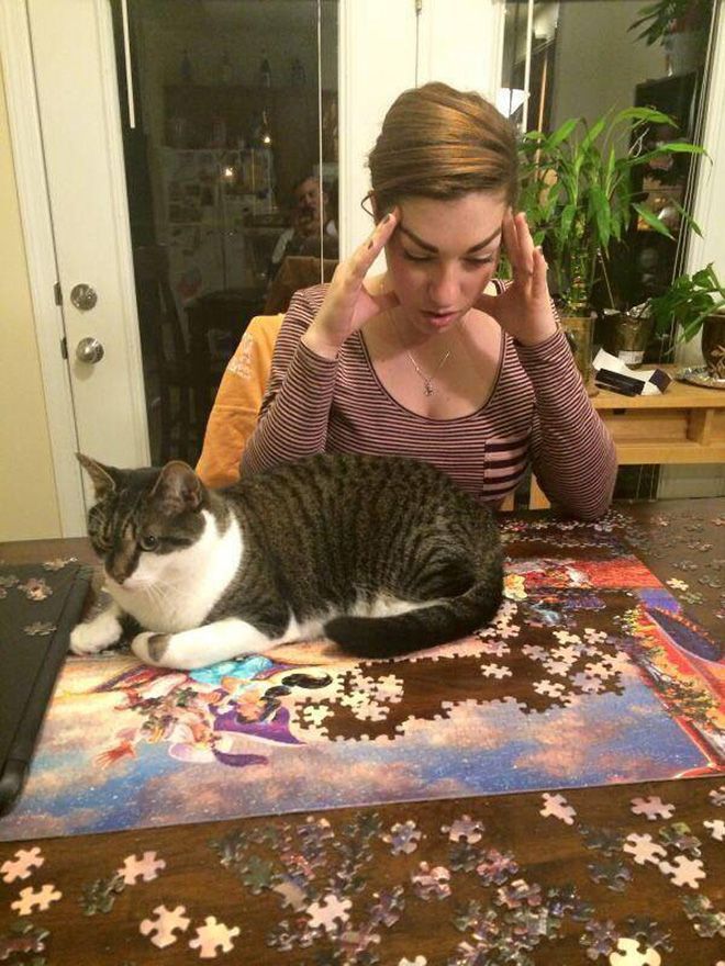 9GAG's tweet photo. Just helping their hoomans to solve purr-zzles
@MeowedOfficial https://t.co/Yp1LjbmkCm