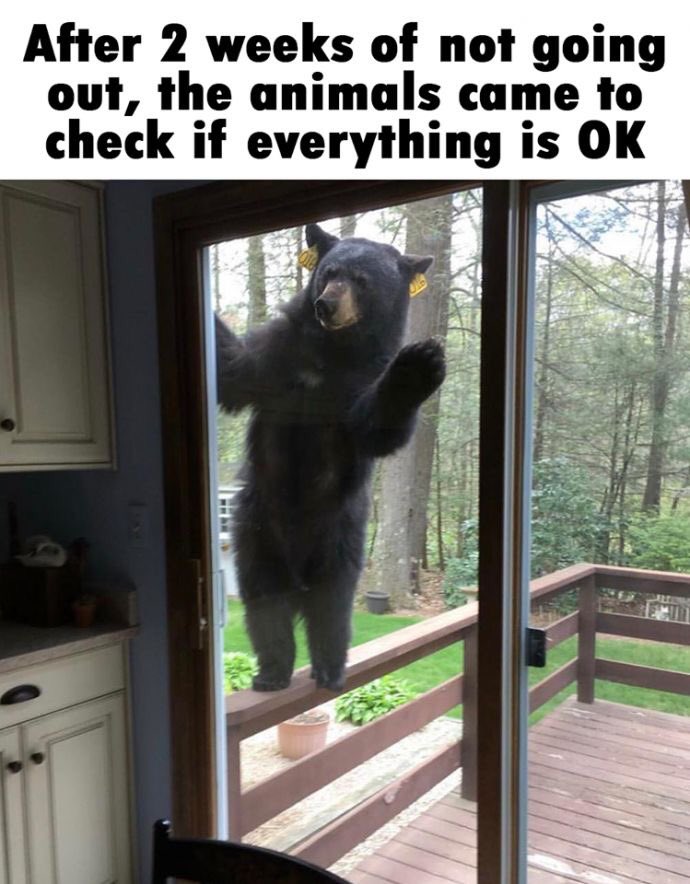 SMSPete's tweet photo. Hey, peepuls! We care. Hang in there, this too shall pass. (Suspender Guy just said something about a kidney stone....he’s weird.) #smscompass #sascompass https://t.co/Kkpkj9BB2T