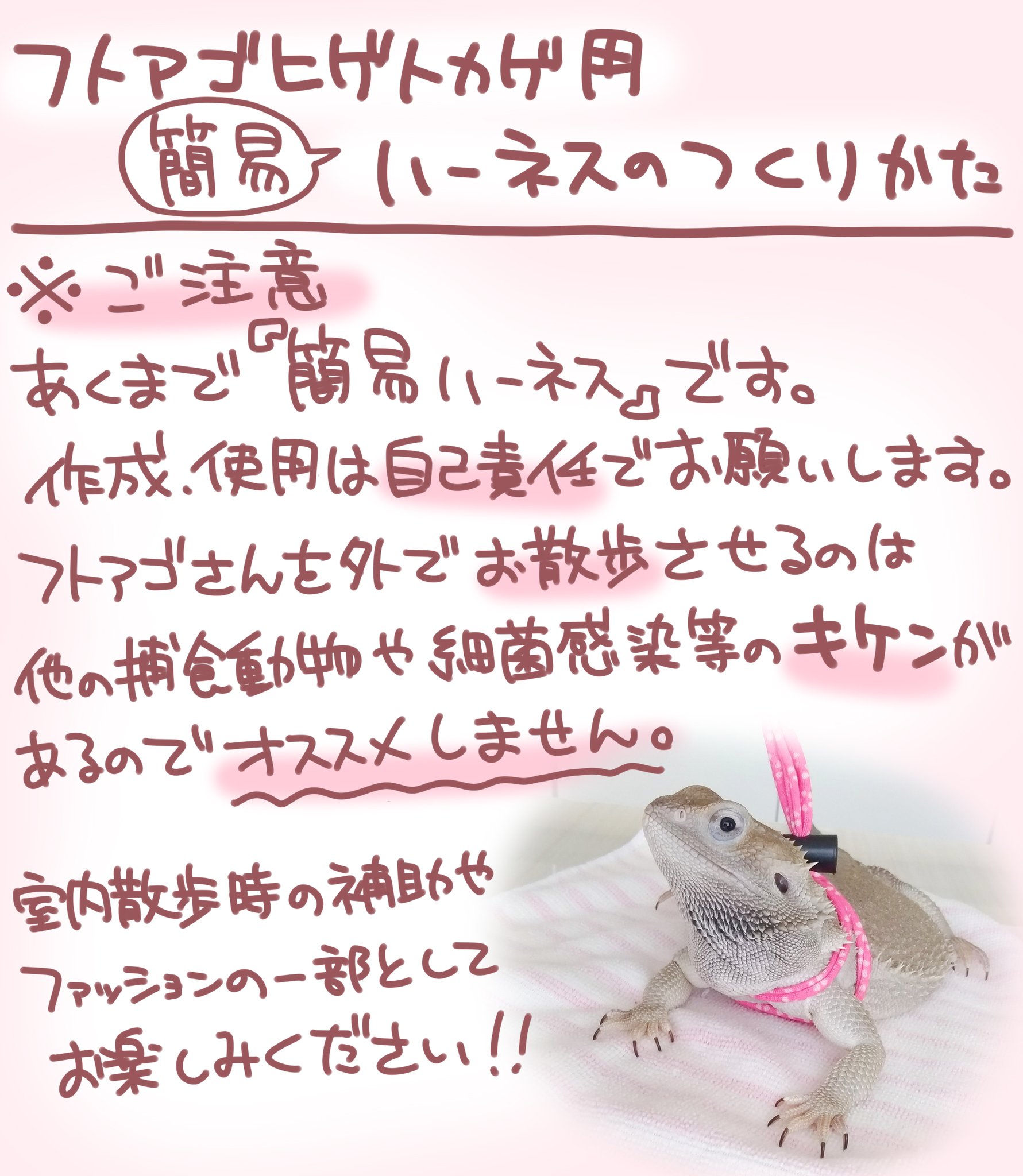 おとん フトアゴヒゲトカゲ用のハーネスの作り方についてご質問いただいたのでレシピ化しました あくまで簡易ハーネスなのでファッションの一部として自己責任でお楽しみください フトアゴヒゲトカゲ 爬虫類 おとん フトアゴヒゲトカゲ用のハーネスの作り方についてご質問いただいたのでレシピ化しました あくまで簡易ハーネスなのでファッションの一部として自己責任でお楽しみください フトアゴヒゲトカゲ 爬虫類