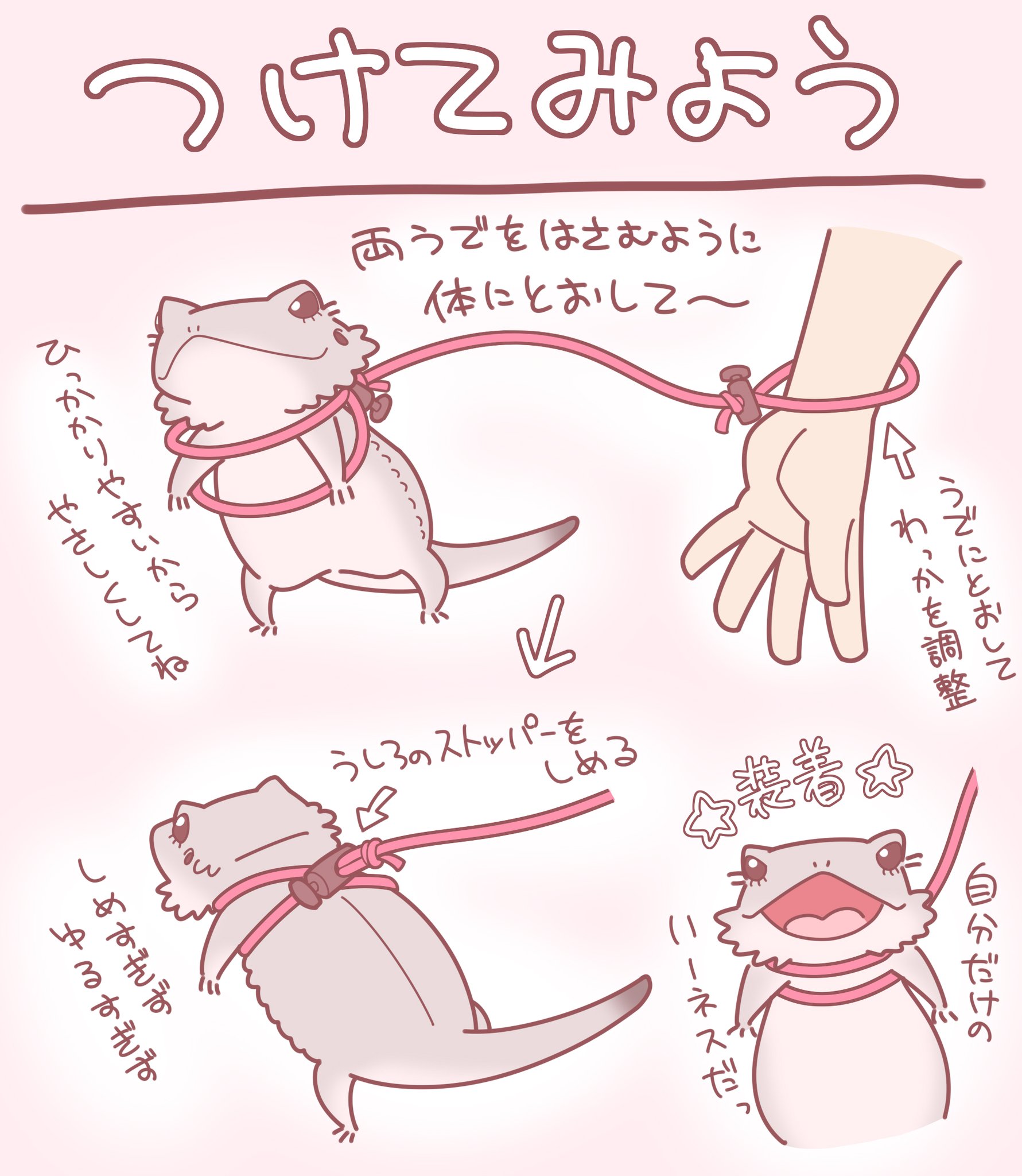 おとん フトアゴヒゲトカゲ用のハーネスの作り方についてご質問いただいたのでレシピ化しました あくまで簡易ハーネスなのでファッションの一部として自己責任でお楽しみください フトアゴヒゲトカゲ 爬虫類 おとん フトアゴヒゲトカゲ用のハーネスの作り方についてご質問いただいたのでレシピ化しました あくまで簡易ハーネスなのでファッションの一部として自己責任でお楽しみください フトアゴヒゲトカゲ 爬虫類