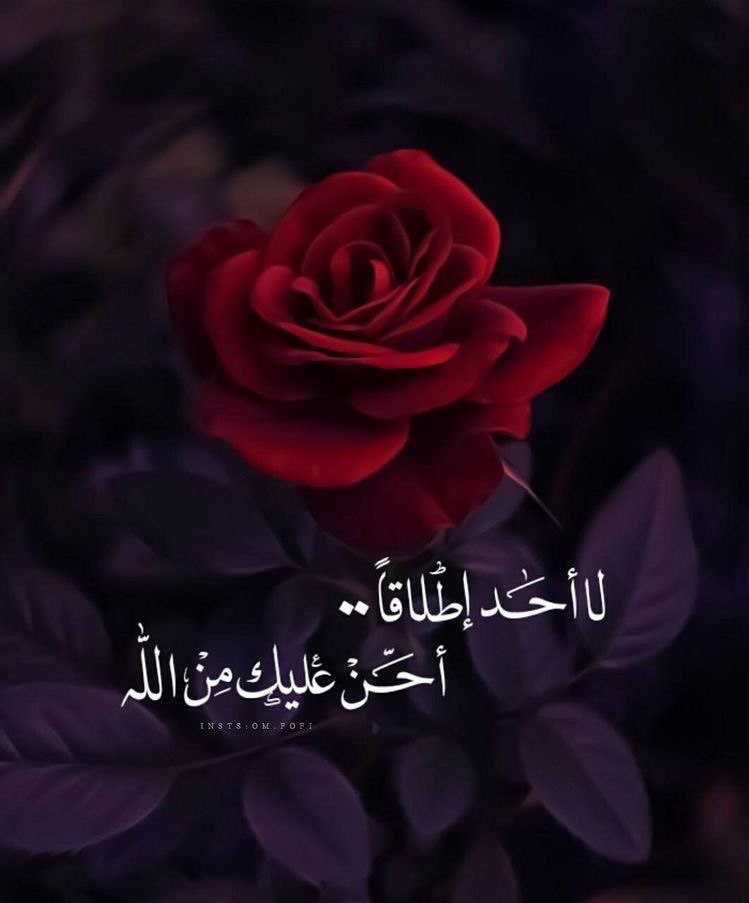 .

.

إن من أعظَمِ ما يَملأُ قلبَ المُؤْمِن انشراحاً 
ويجعلُ لهُ البركةَ فِي يومِهِ وليلتِهِ 

أنْ يكُونَ لهُ حظٌّ من قِيَامِ اللَّيل ،،

#الوتر_جنة_القلوب
.