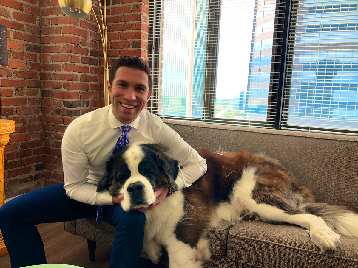 ZachLashway's tweet photo. Someone had a haircut. Someone has not (and NEEDS one).

Sully holds a news conference for @jaxhumane and the fur flies! 

#MuttMarch https://t.co/oNlCd3Ii6L