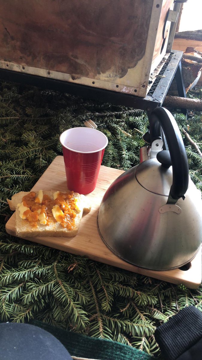 anastasia quoee tweet media