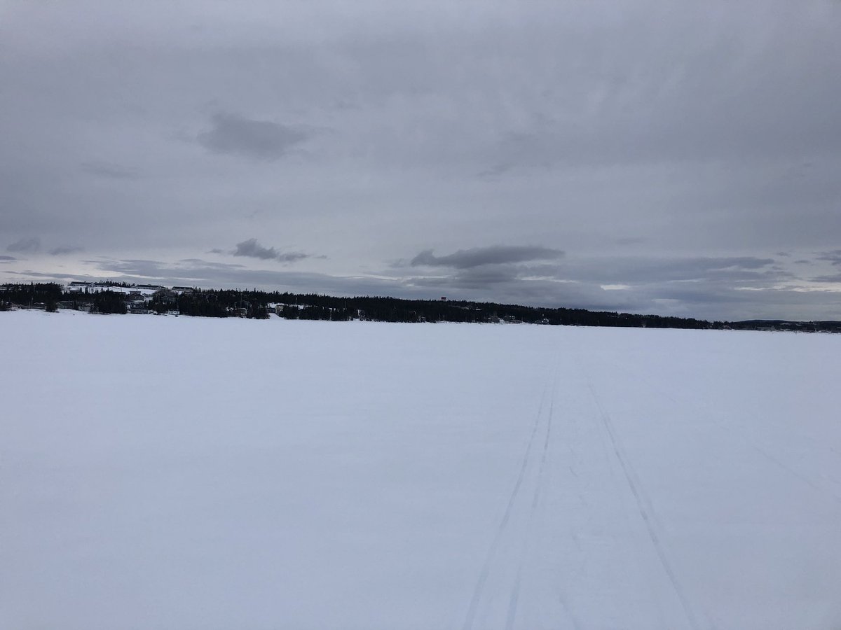 anastasia quoee tweet media