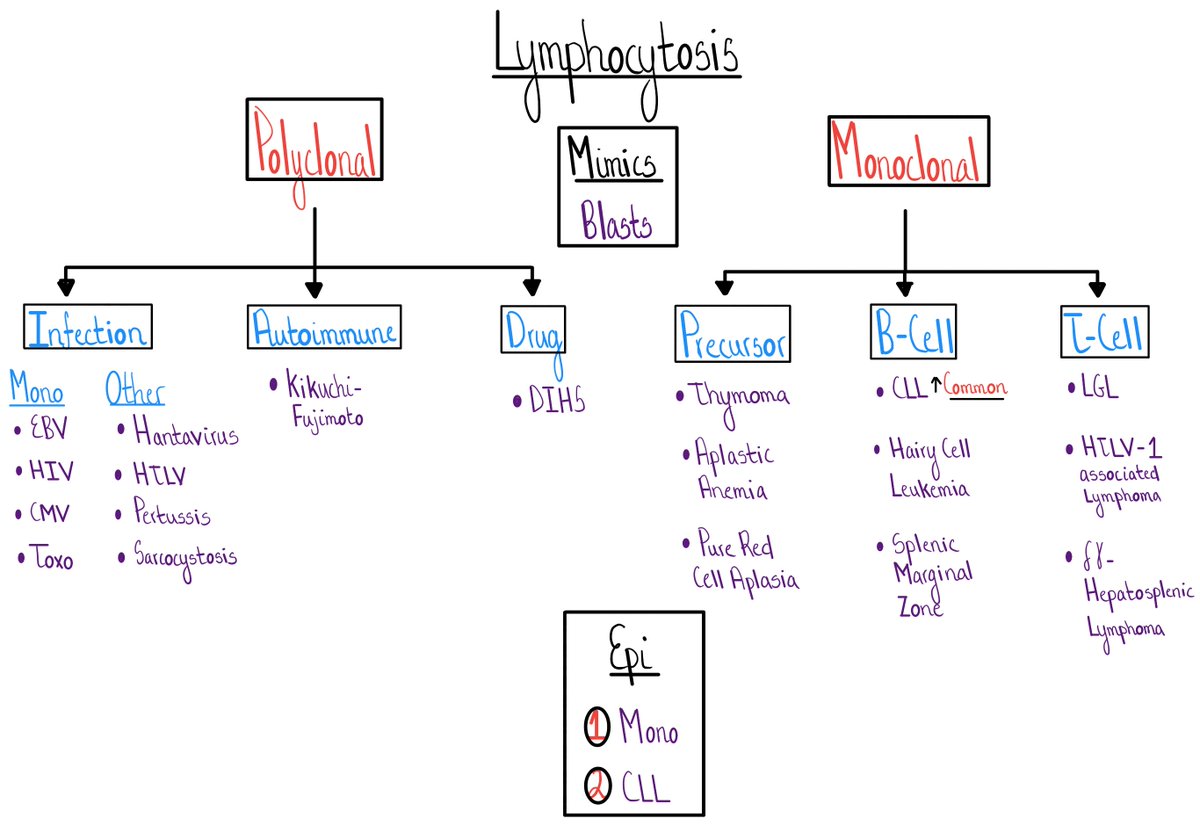 Lymphocytosis...Again...dramatically shifts the Dx considerations in the iMade mnemonic