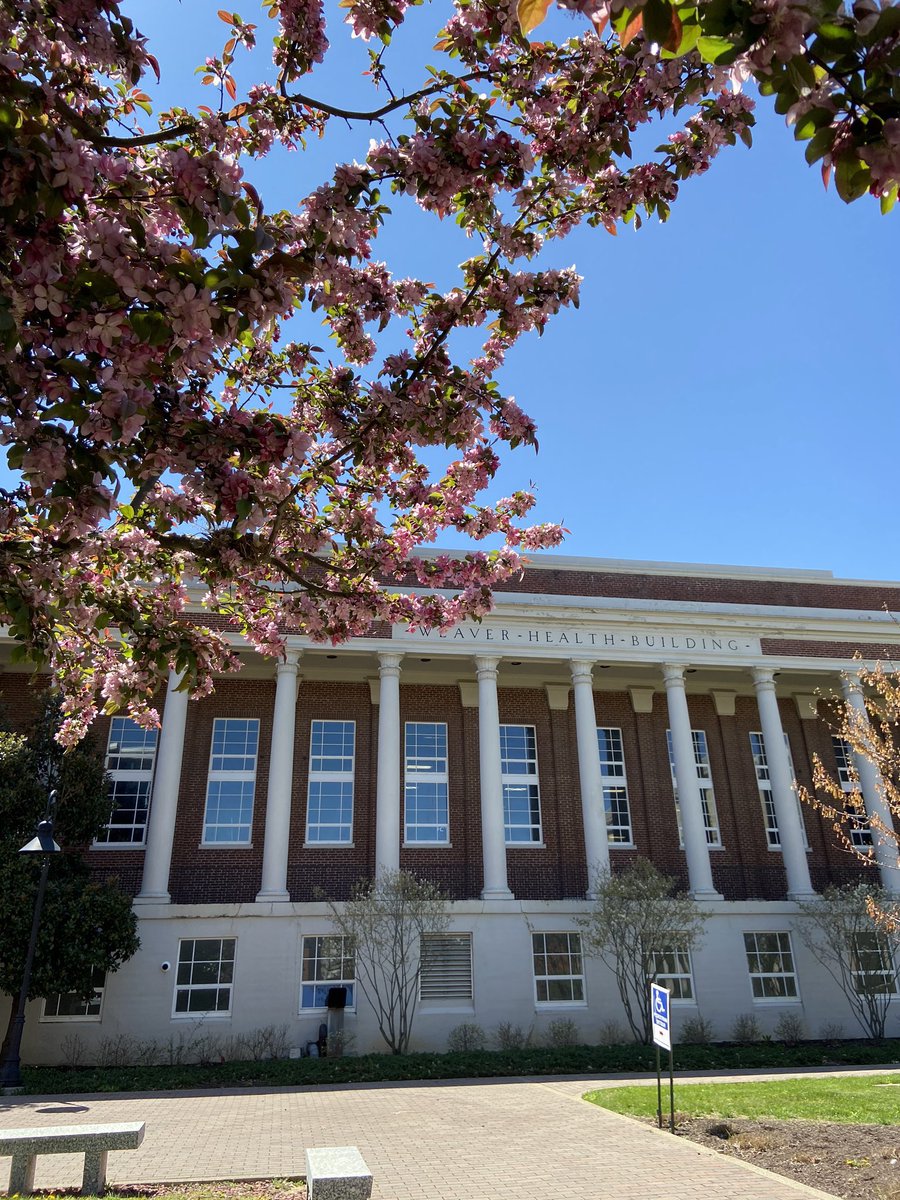 EKU Barstool tweet media