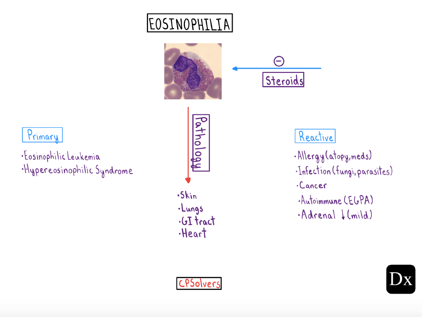 Eosinophilia...Now the spotlight is on fungal and parasitic infections.eGPA is the leading autoimmune diseaseYou'll also mull the possibility of a myeloproliferative neoplasm..