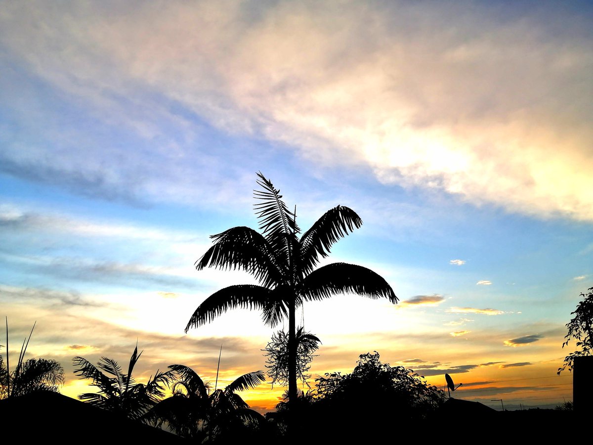 ladydebidebz1's tweet photo. Saturday sundowning...
#GettingNowhereFast https://t.co/WaORyCJpuW