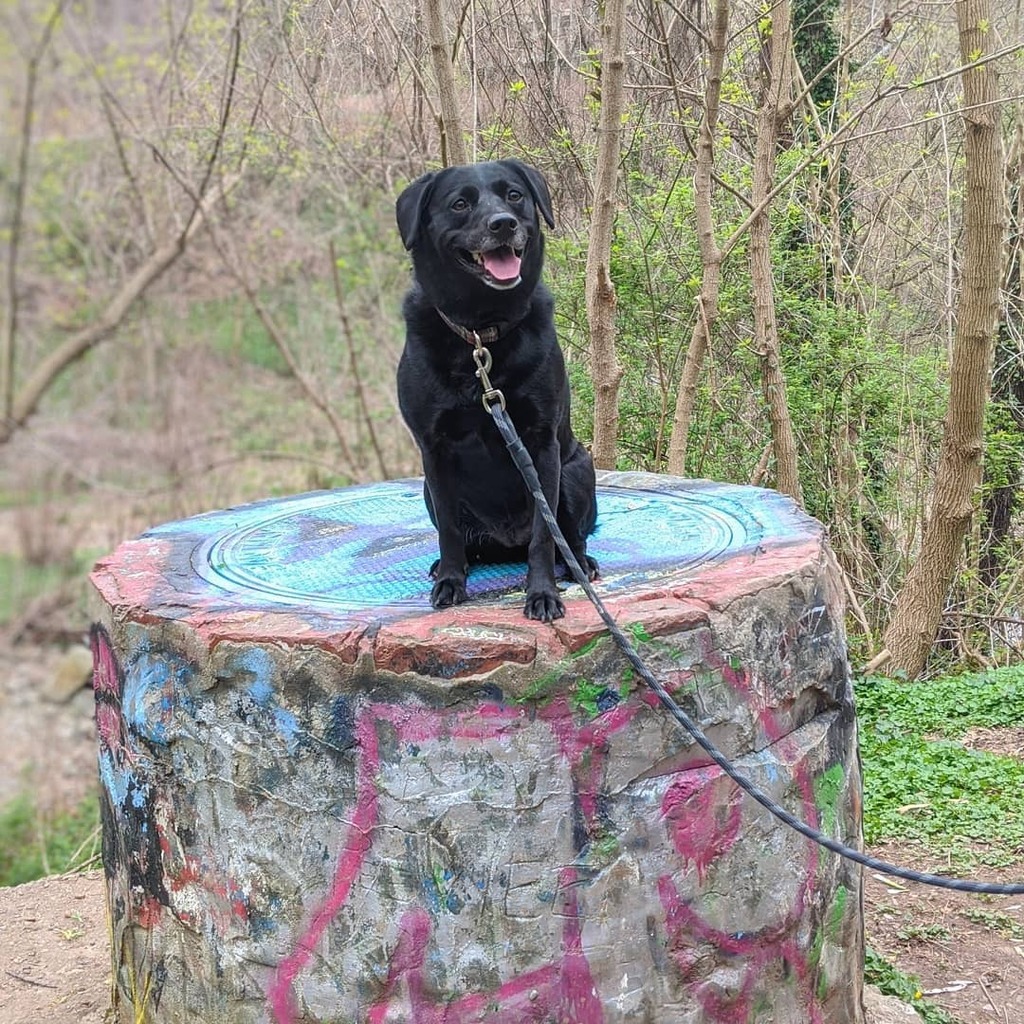 Also Coffee tweet media