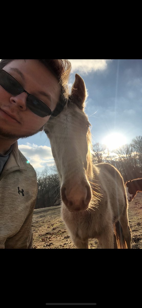 Nick tweet media