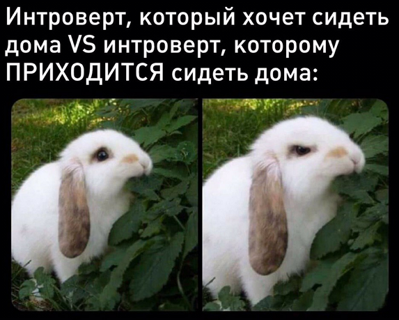 so_mad_so_funny's tweet image. 