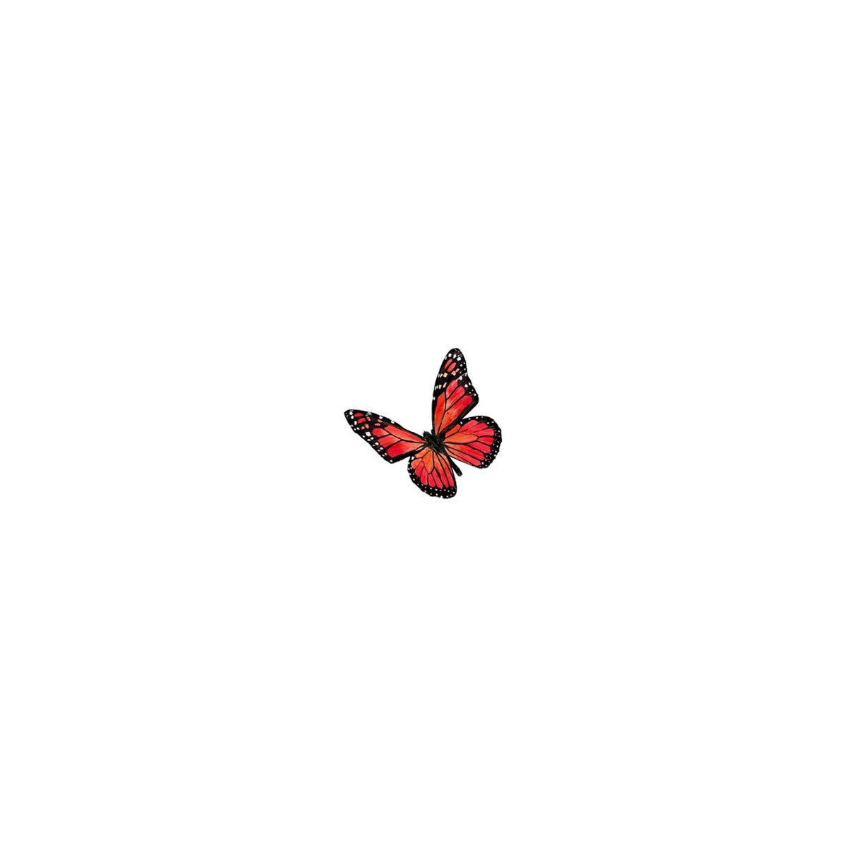 — [♡] ; red butterfly