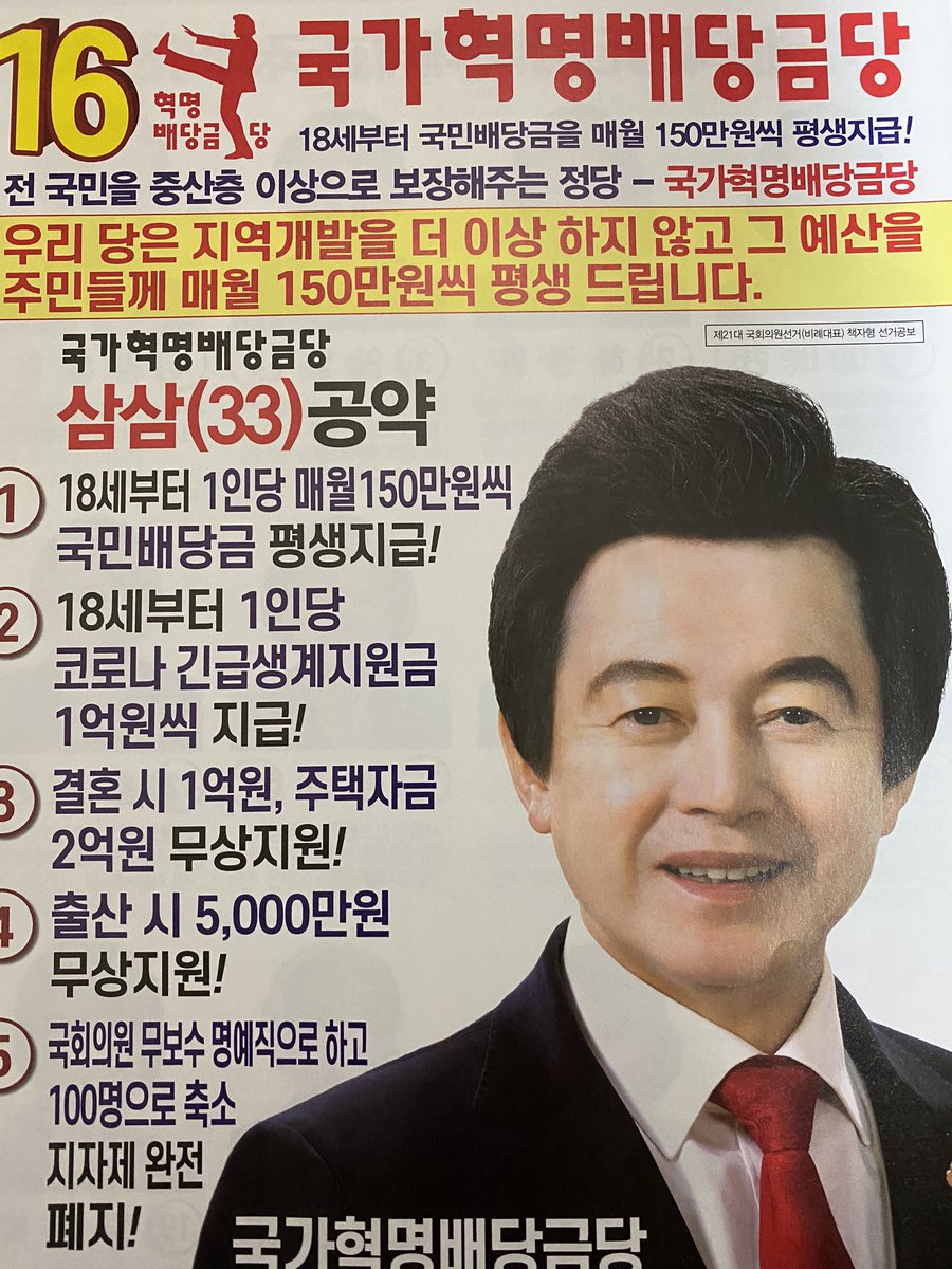 Award for the flyer with the best hair goes to the something revolution something party (국가혁명배당금당 - not going to win so not bothering to translate).  @realDonaldTrump eat your heart out 5/
