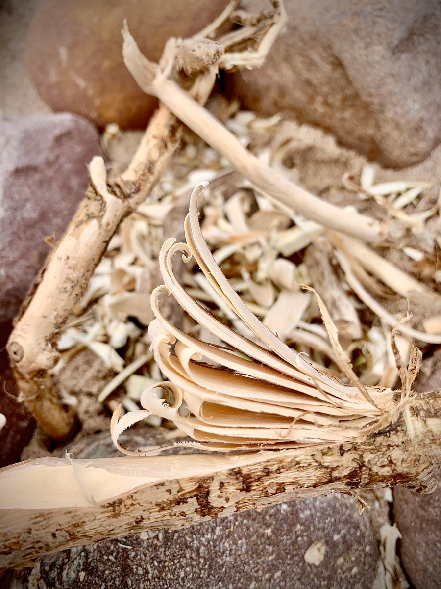 NewWaveWildProj's tweet image. Creating fire 🔥 is more about creating the spark in my own kids life’s to introduce them to the adventure world. It’s so important to have fun and explore different ways of learning in this strange time. The little shared experiences now can last forever #familytime #firecraft