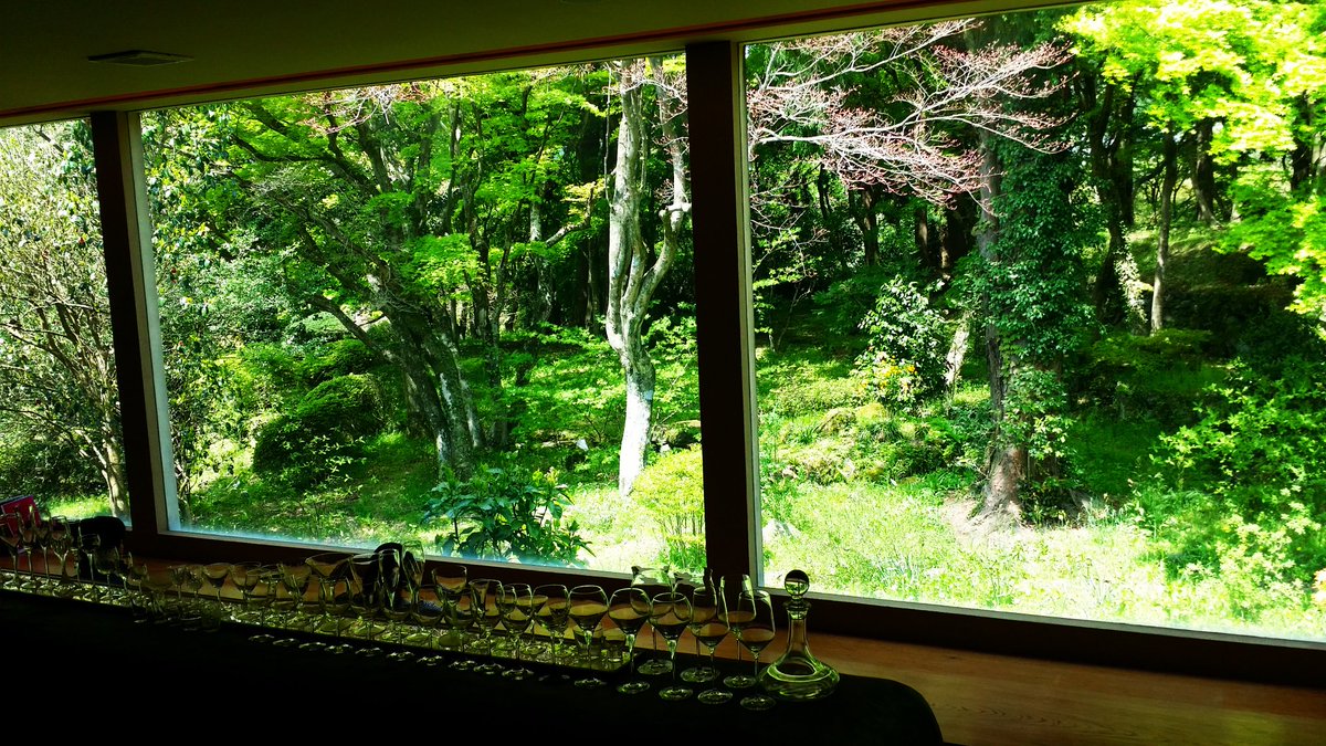 saki0001home tweet picture