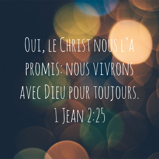 La Bible tweet media