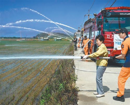 한편 각하는....