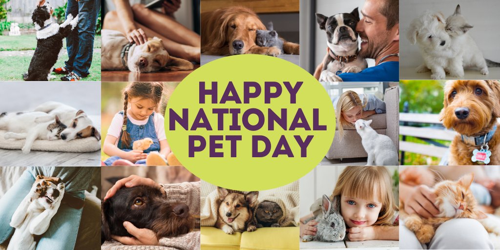 Happy #nationalpetday. Today (and everyday) we celebrate the joy pets bring to our lives! 🐶🐱🐰🐦 #houstondogshows #comesitstay #petlovers