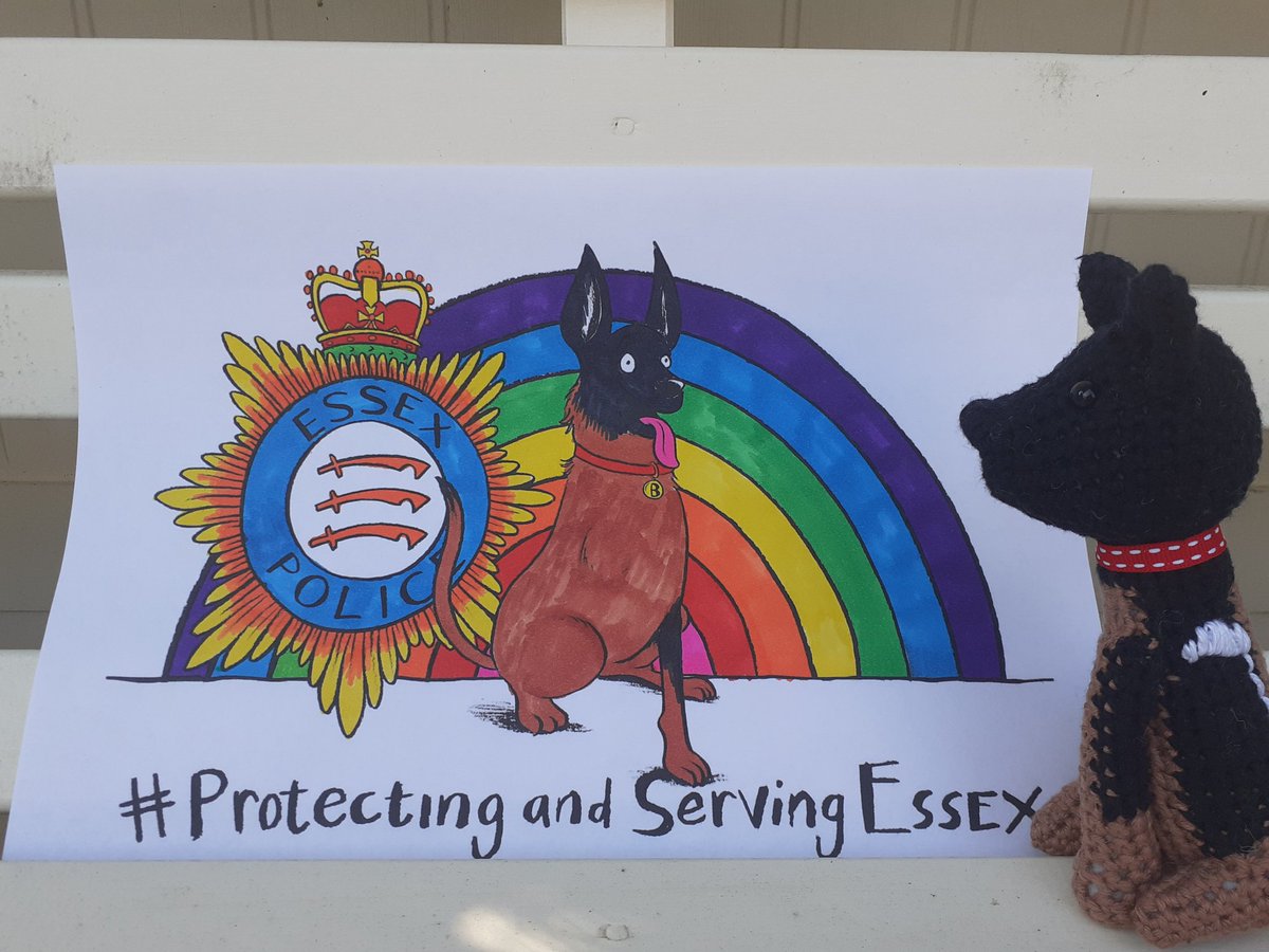 crochetLara's tweet photo. Well I couldn't miss out could I?! Enjoyed doing this today! @EPDogSection @ERPDF @EssexPoliceUK @Chappers2013 @vickilonglegs #StayAtHome #babybaloo #rpdbaloo #ProtectOurNHS https://t.co/Tl69MLkeUz