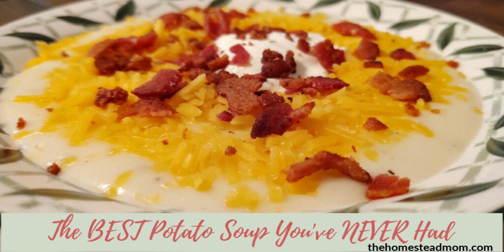 TheHomesteadMom's tweet photo. https://t.co/nOprFlpxWJ The perfect, most full bodied potato soup that actually has substance to it and satisfies in a way that potato water cannot #whatsfordinner #mmgood #easyrecipe #homestead #homemade #potatoesrock #potatosoup #delicious #fillingfood #thehomesteadmomdotcom https://t.co/hQv6nlvPYe