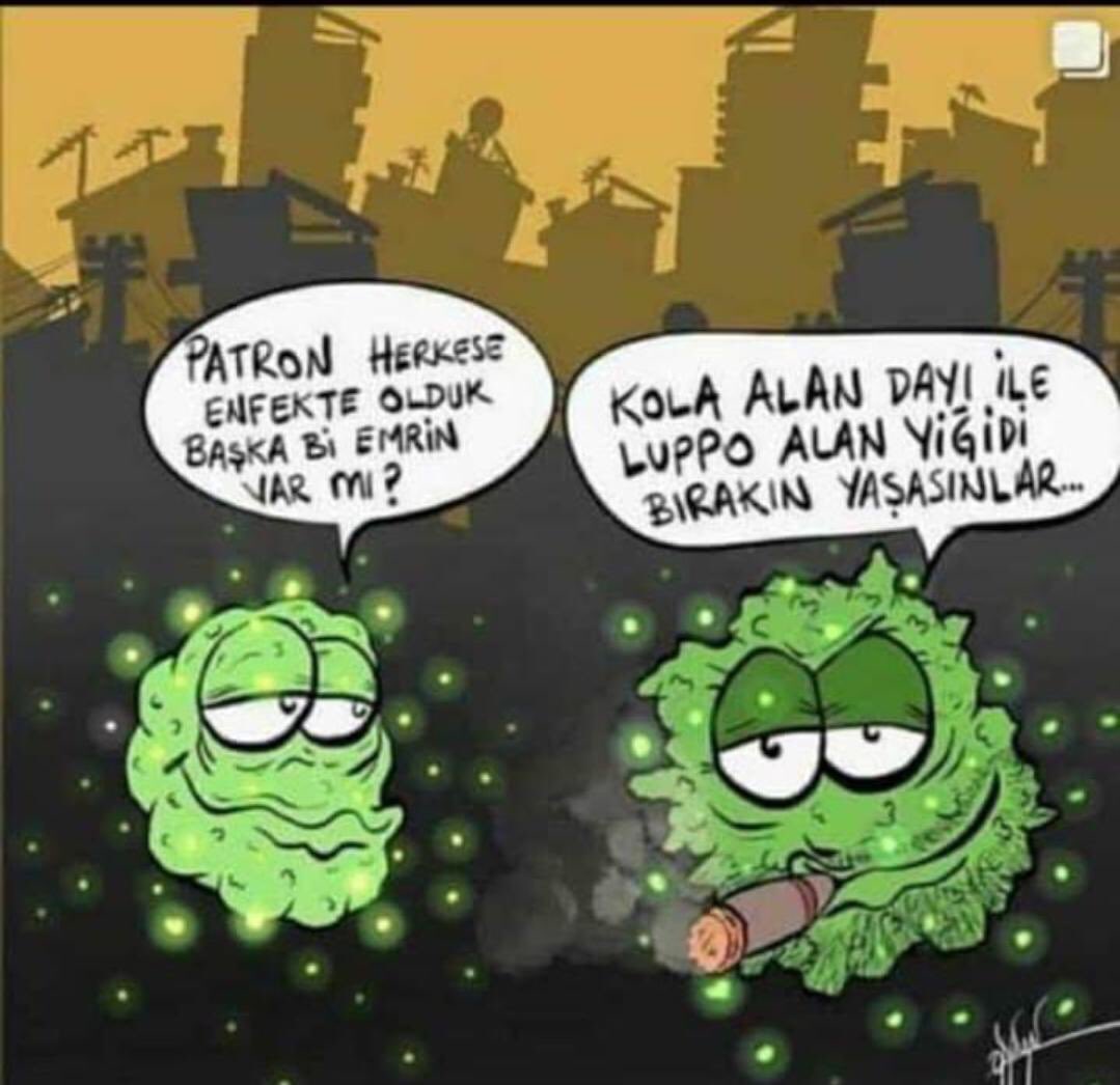 #SOKAĞACIKMAYASAĞI