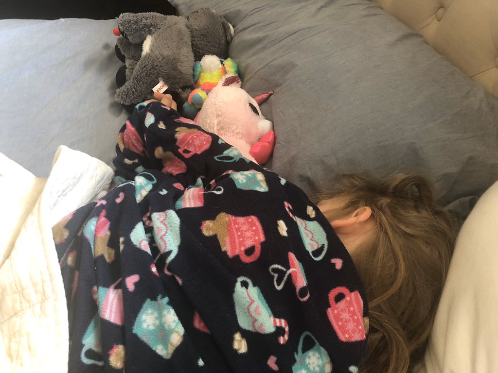 huffmaco's tweet image. Bocephus the cat + Pearl the dog + Ava the human + loads of stuffies sleepin in. #Caturday #fullbed #catsofquarantine #dogsofquarantine