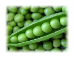 twfarmersmarket's tweet image. Atkinson Farms has a market open at the farm everyday from 10am to 6pm and Sunday from 10am to 2pm. Stop by for fresh produce or pick your own!
buff.ly/3aWzz7P
#TWFarmersMarket #EatShopLiveLocal #supportsmall