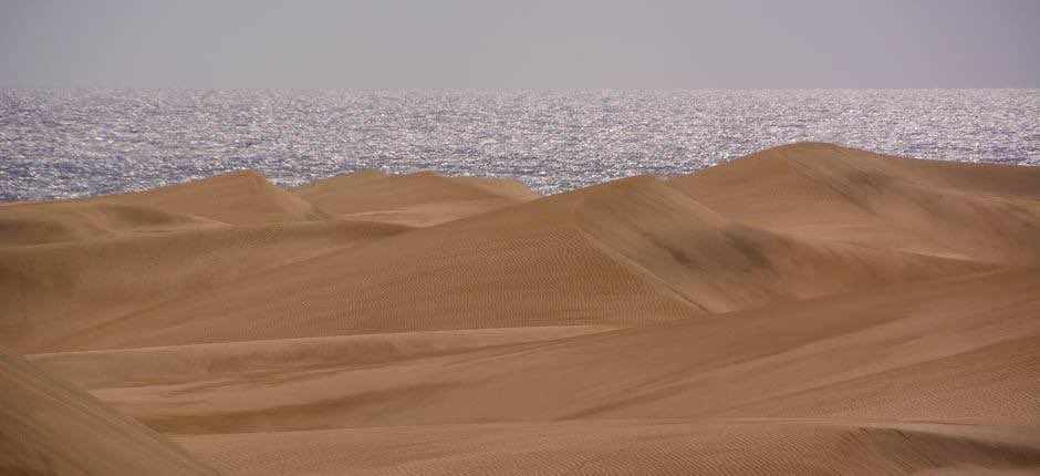 Las dunas de Maspalomas, Gran Canaria, Islas Canarias . * ･｡ ﾟ