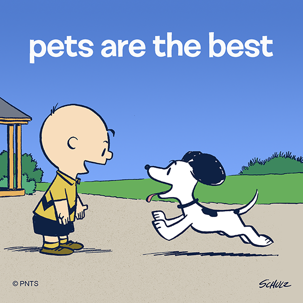 Snoopy's tweet photo. Seeing my dog always puts a smile on my face #NationalPetDay https://t.co/4j97APIL9E