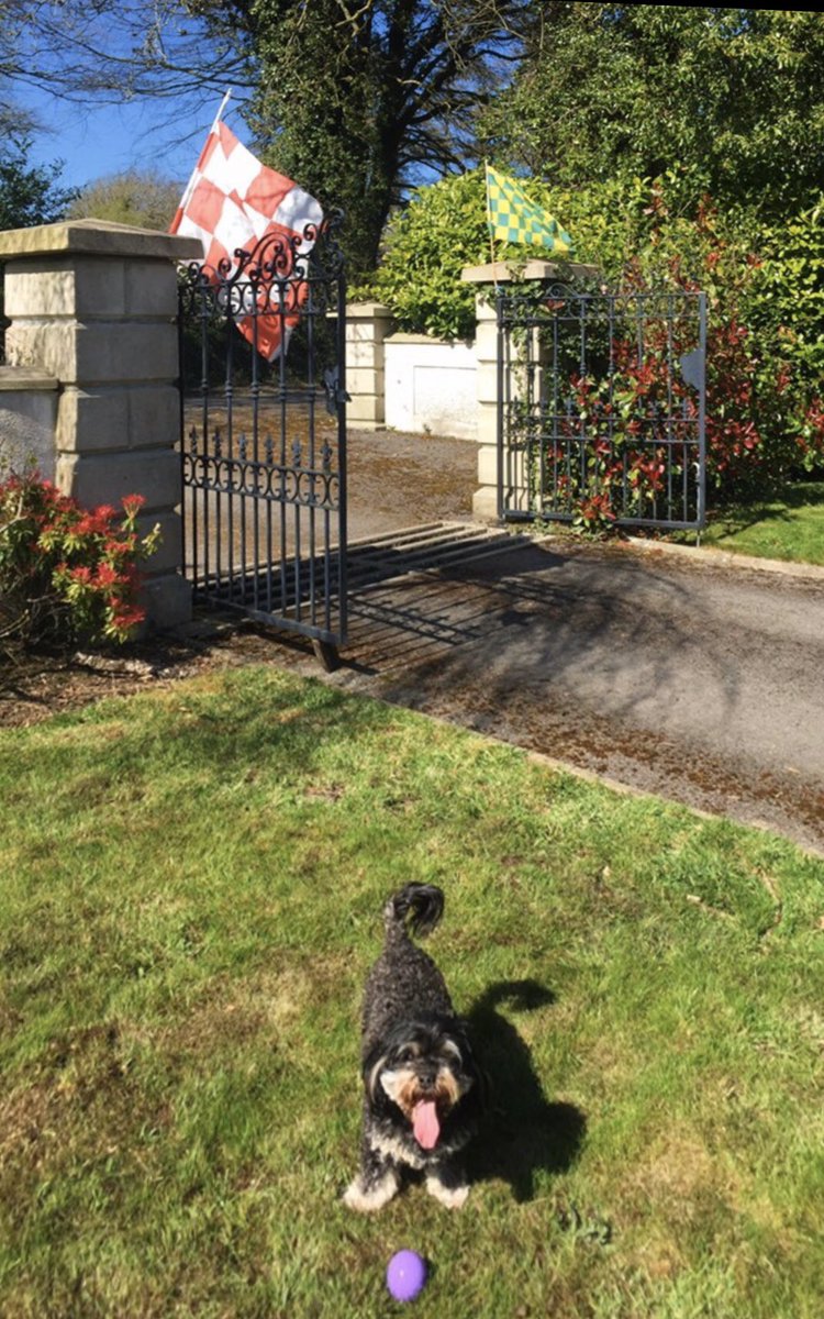 BallinloughGaa's tweet photo. The McGees(and Susie!) are happy in the sun flying the flags in support of Frontline workers. I have to say I’m a little disappointed Seamus didn’t manage to work the famous sign in somewhere !! 🙈😀 #Flags4Frontline https://t.co/UO7h7isxmz