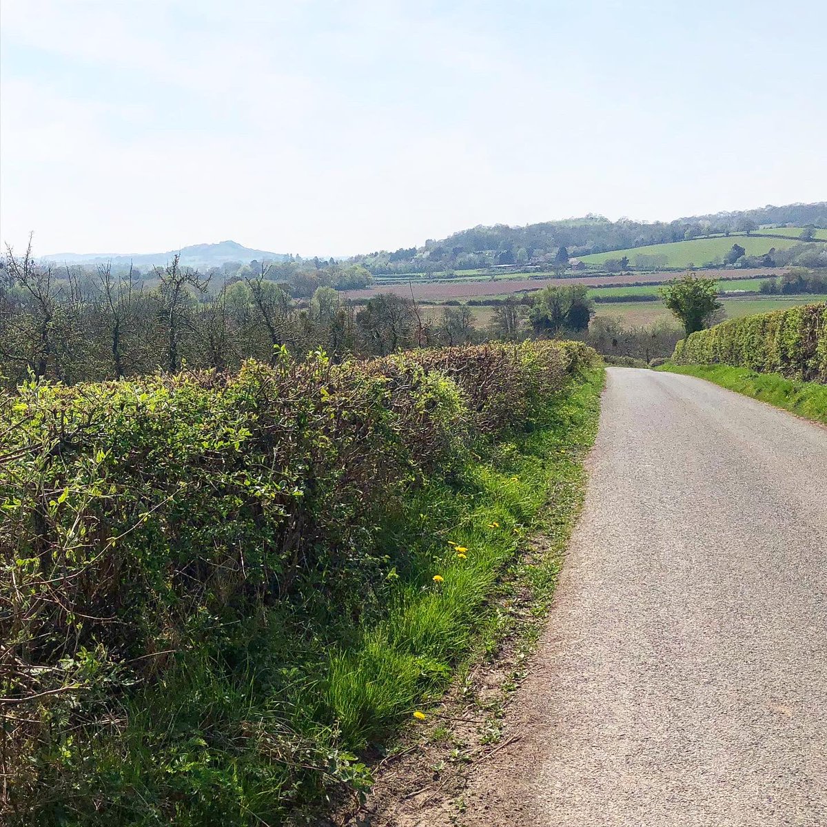 dringpaul's tweet photo. Gave myself a day off training hard today and just enjoyed the ride and the beautiful Worcestershire scenery! As training roads go.... 🚲☀️😃 #Worcestershire #backdoorstep #cyclinglife #home https://t.co/ZQ4mVGPfZs