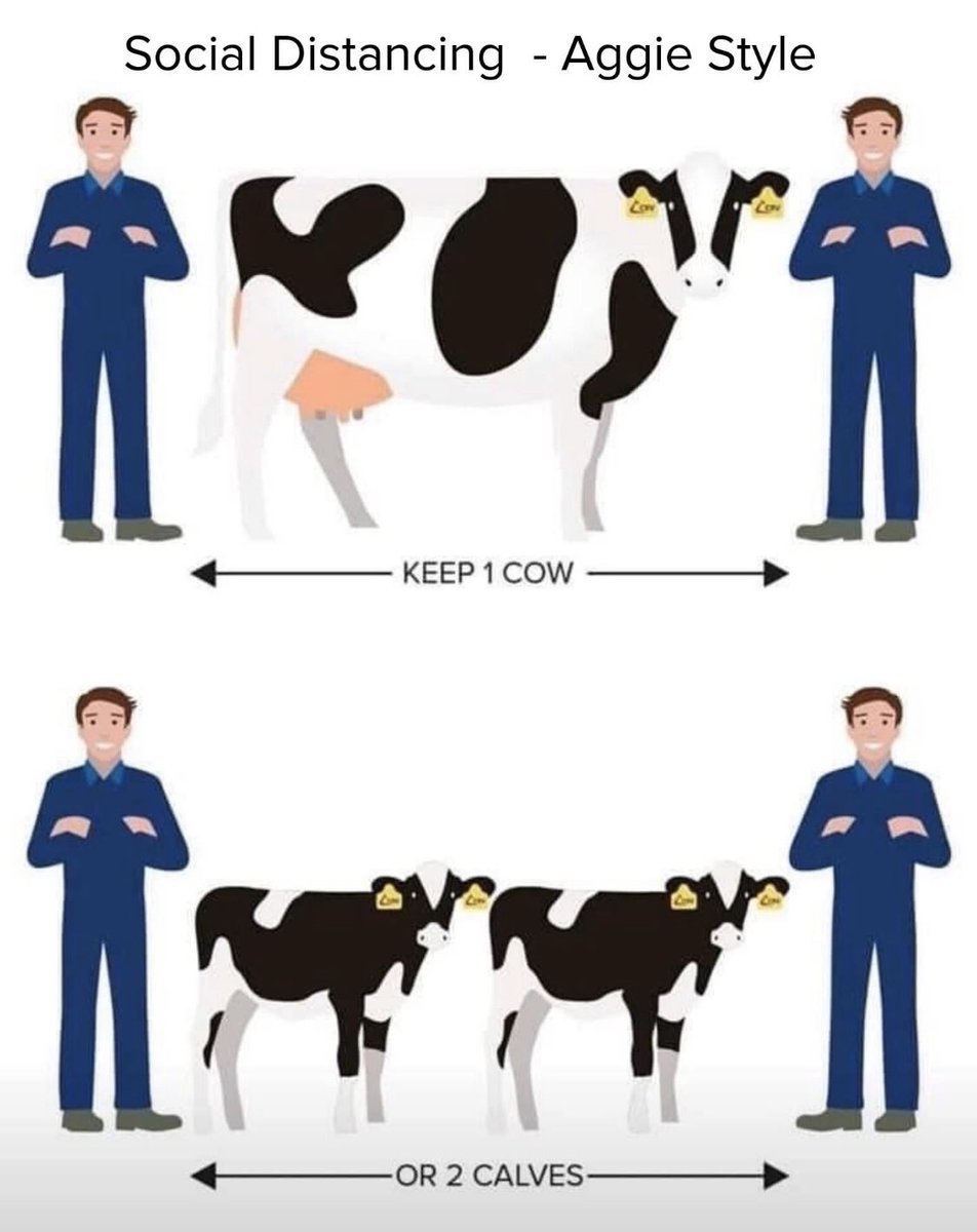 Social distancing- Aggie style