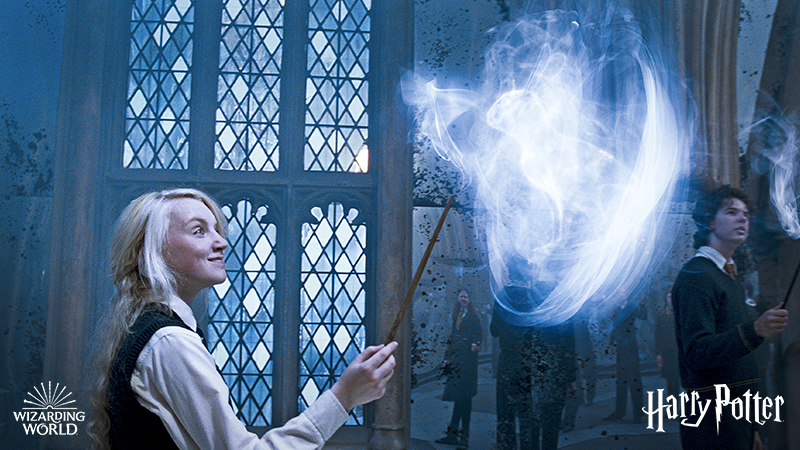 harrypotter's tweet photo. Let the light shine through. https://t.co/vfrM70fnks