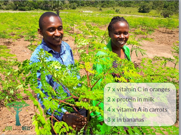 Moringa Fund tweet media