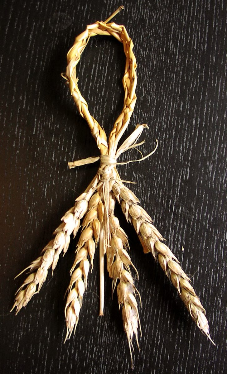 Now remember the European tradition about the "Sprit of grain"? Which is preserved every year in "The last sheaf" from which a "Corn dolly" is made, in order to preserve this spirit from harvest to sowing?  https://oldeuropeanculture.blogspot.com/2020/02/corn-dolly.html