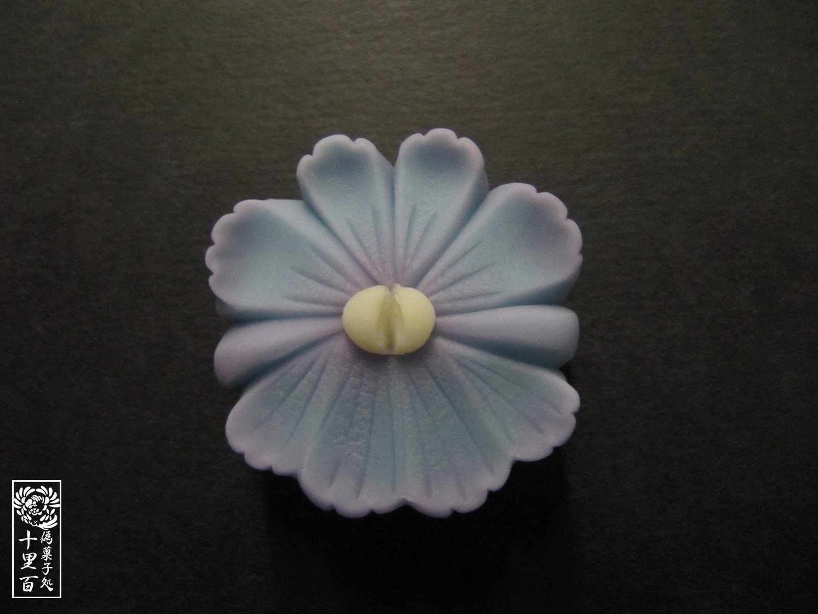 十里百 4 12の誕生花はネメシア 花言葉 偽りのない心 4 12生まれの方お誕生日おめでとうございます 十里百誕生花和菓子化計画 T Co Pk72djbiqt Twitter