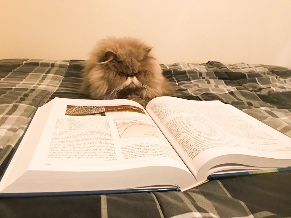 K-State Agronomy tweet media