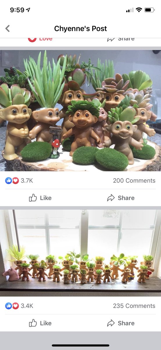 Very important/ridiculous  #QuarantineLife update  #thread. Yesterday I saw this post on Facebook from a person who turned a bunch of old troll dolls into succulent planters. What a weird fucking delight.