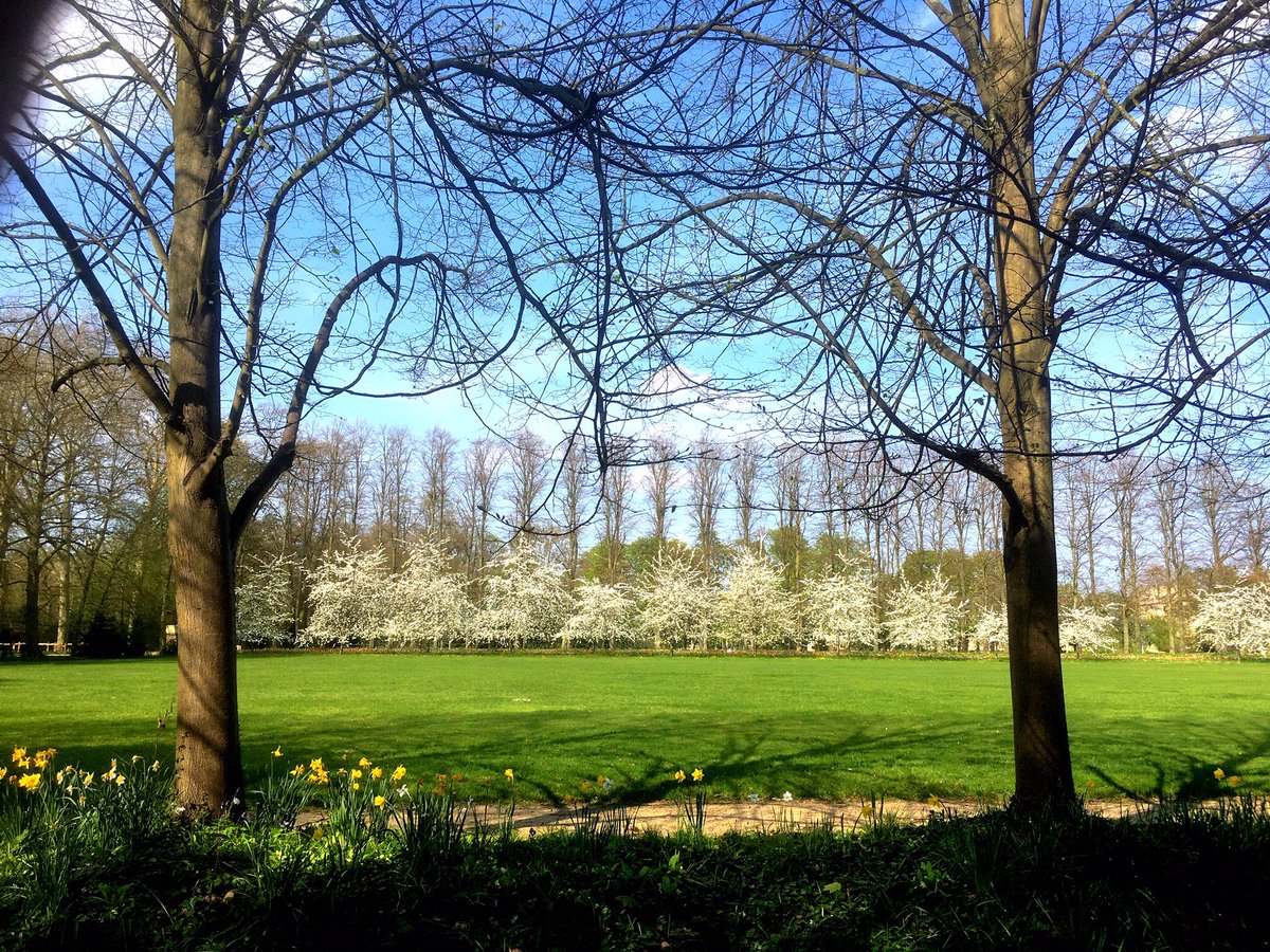 Selwyn1882's tweet image. Holy Saturday in #Cambridge - the familiar landmarks, but missing the people who bring the city alive. Photographs by Mike Nicholson.