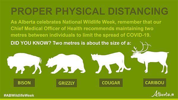 JasonNixonAB's tweet photo. An important reminder here as we wrap up #ABWildlifeWeek. If you choose to venture outdoors this weekend, please practise appropriate physical distancing! @AB_Enviro #COVID19AB https://t.co/sJ1iteGGjp