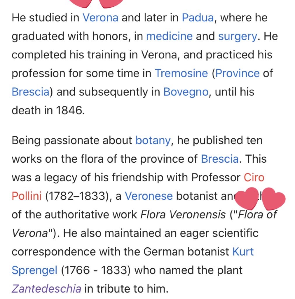 GUYS- The flowers beside jinyoung and Yugyeom is Zantedeachia. It was named after Giovanni Zantedeschi who studied in VERONA! He is the author of “flora of Verona”. Verona is also the city where Romeo and Juliet was placed in. Goosebumps.   #GOT7   #갓세븐    @GOT7Official