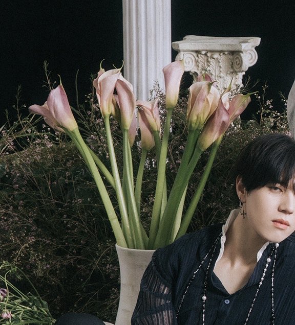GUYS- The flowers beside jinyoung and Yugyeom is Zantedeachia. It was named after Giovanni Zantedeschi who studied in VERONA! He is the author of “flora of Verona”. Verona is also the city where Romeo and Juliet was placed in. Goosebumps.   #GOT7   #갓세븐    @GOT7Official