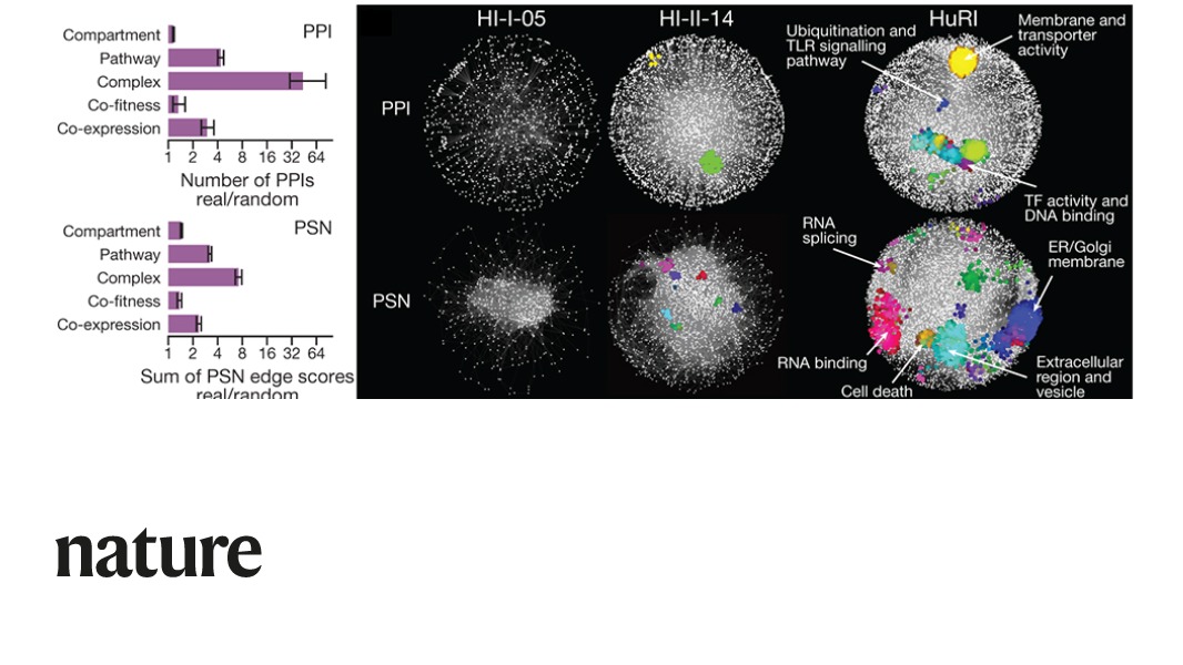 A human binary protein interactome map that includes around 53,000 protein–protein interactions involving more than 8,000 proteins provides a reference for the study of human cellular function in health and disease, according to a Nature paper. go.nature.com/39TWr6j