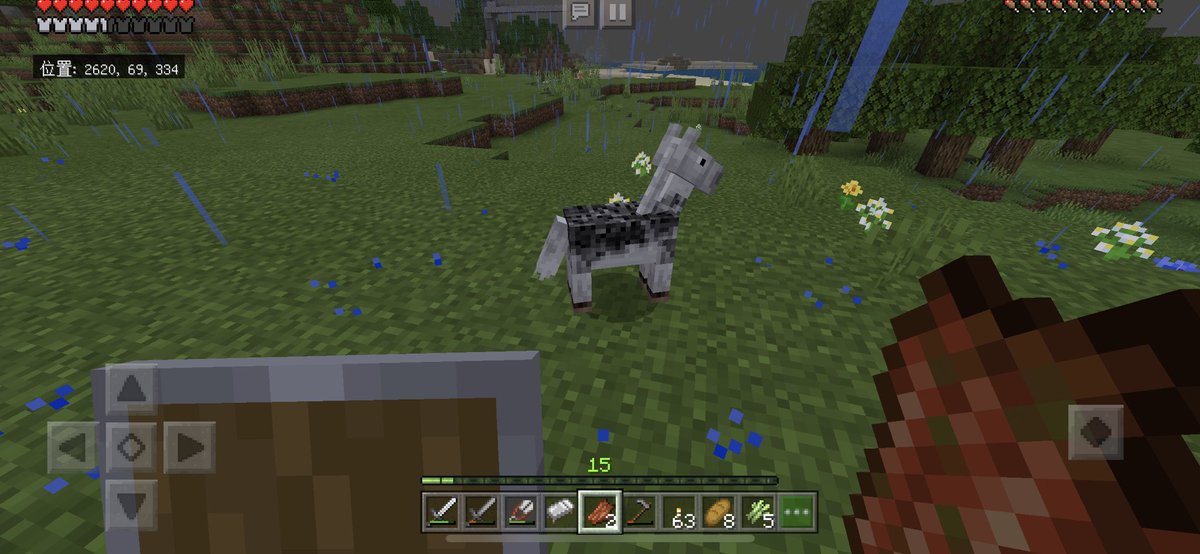 もぐ マイクラ整地を極めたい 63mogom29 Twitter